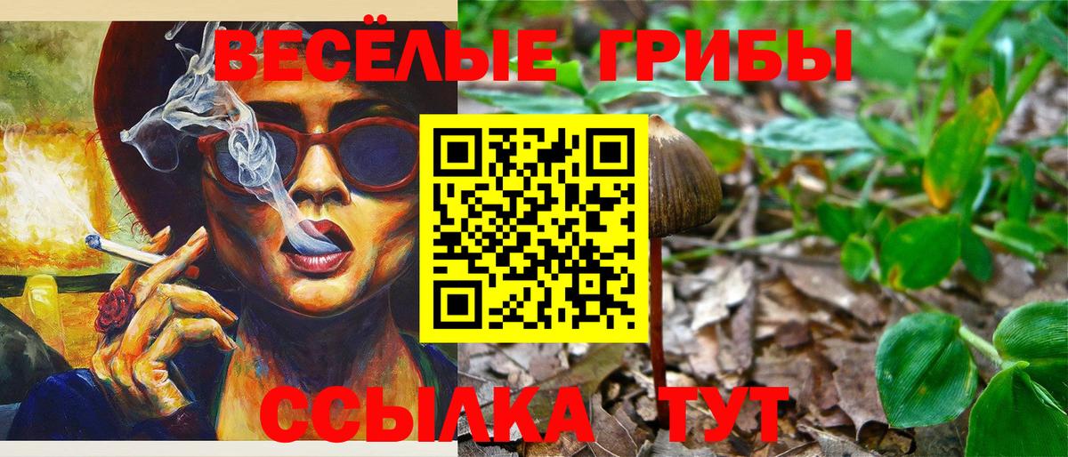 купить закладку  Псилоцибиновые грибы прущие грибы  Вход с VPN  Орск 