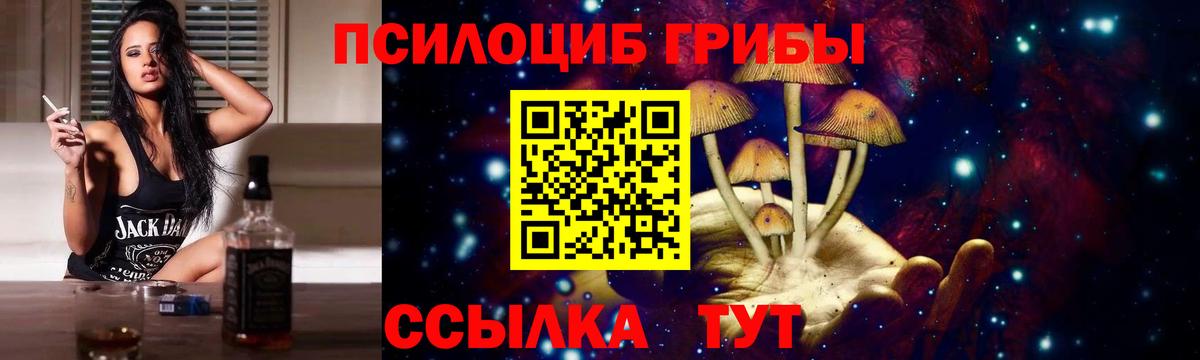 Псилоцибиновые грибы мицелий Орск